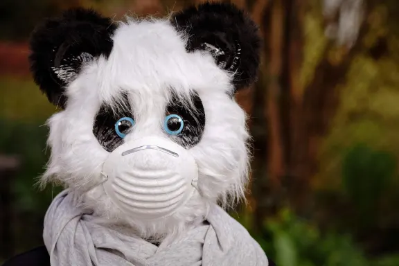 Casino of Dreams Tugi